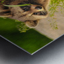 JBS 2864 Metal print