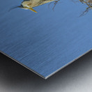 JBS 0860ED Metal print