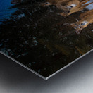 JBS 3174 2  Impression metal