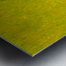 JBS 3007 Metal print