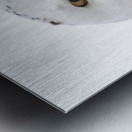 DSC 1876 2 Impression metal