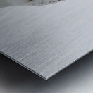 DSC 1902 Metal print