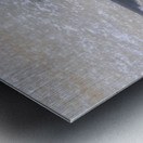 DSC 2285 Metal print