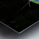 JBS 1007 Metal print