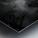 Z62 0237  Metal print