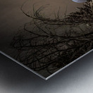 Z62 0235 2  Impression metal