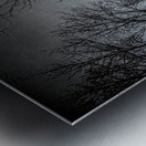 JBS 0236  Impression metal