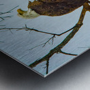 JBS 9645 Impression metal