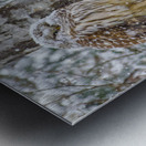 JBS 4998 Metal print