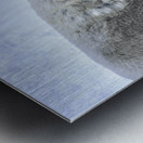 JBS 9247 Metal print