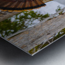 JBS 5958 Impression metal