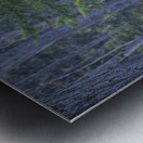 JBS 8417 Metal print