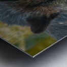 JBS 9093 Impression metal