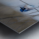 JBS 9522 Metal print