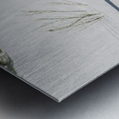 JBS 8781 Metal print