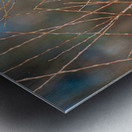 JBS 8279 Metal print