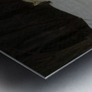 JBS 9056 Metal print