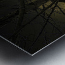 JBS 5294 2 Metal print