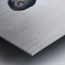 JBS 5691  Impression metal