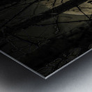 PINE MARTEN2 Impression metal