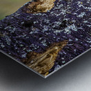 JBS 9742 Impression metal