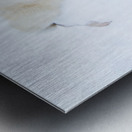 JBS 8373 Metal print