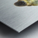 JBS 9269 Impression metal