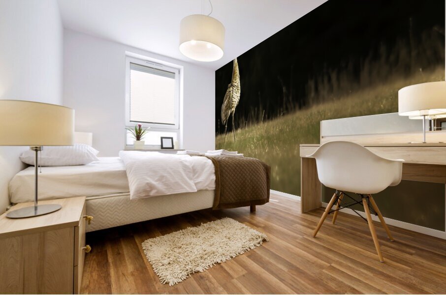 JBS 0909 Impression murale