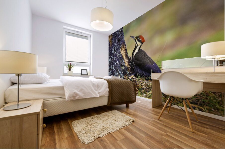 JBS 9742 1 Mural print