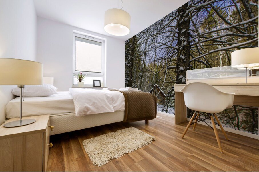 JBS 5217 Impression murale