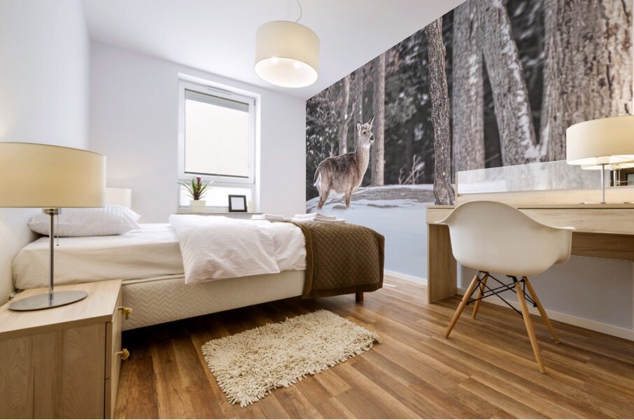 JBS 5494  Mural print