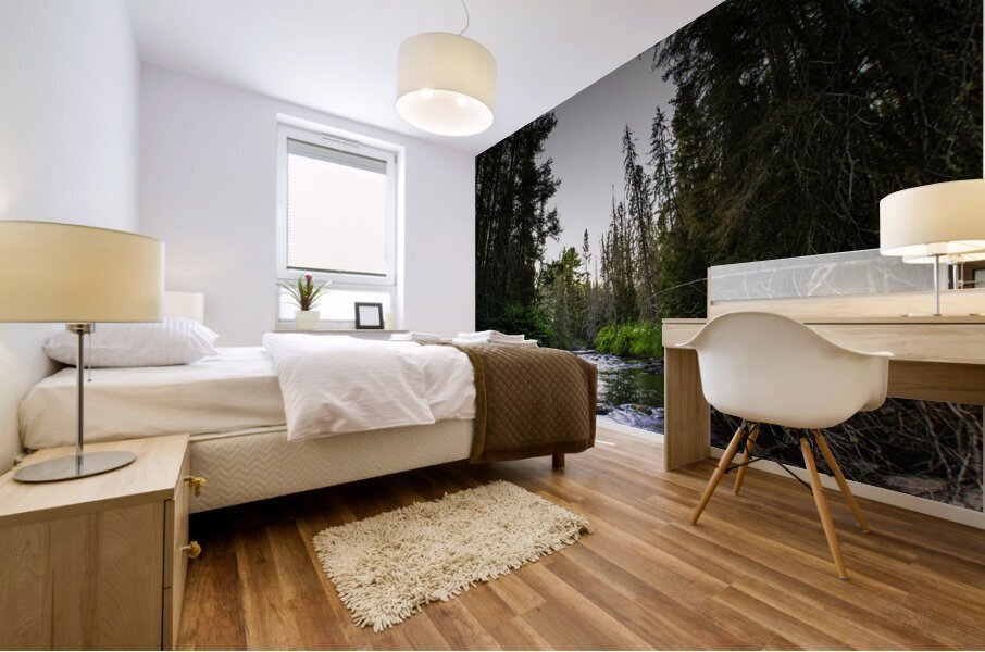 JBS 2030 Impression murale