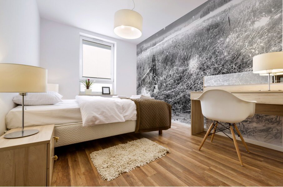 JBS 4080  Mural print