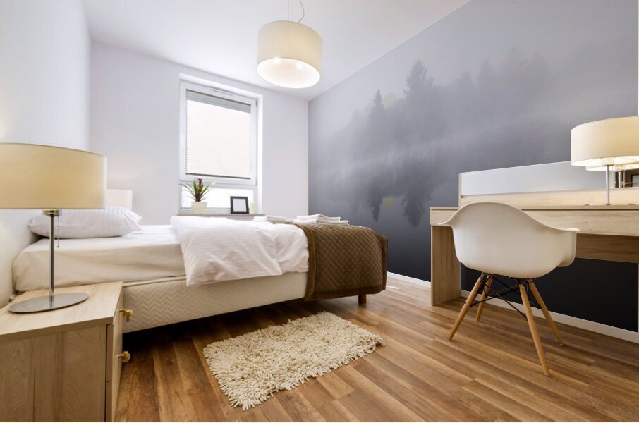 DSC 5615  Impression murale