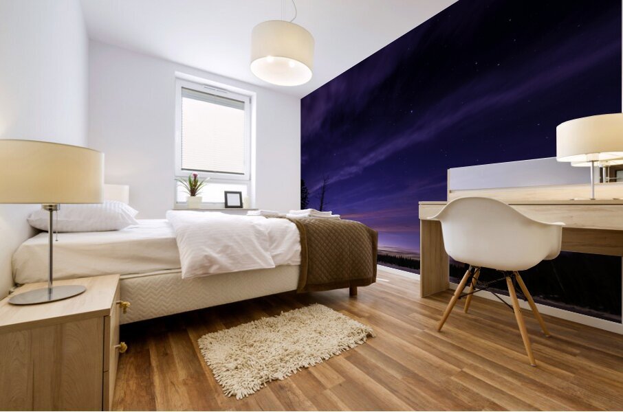 JBS 3330 Mural print