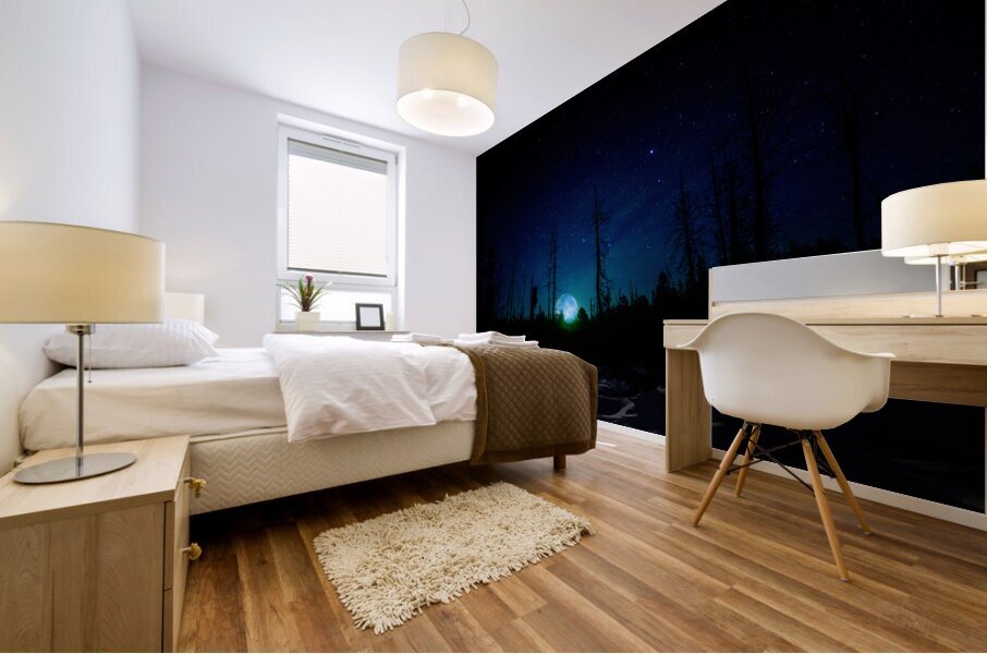 JBS 61401  Impression murale