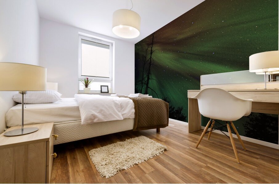 JBS 5620  Impression murale