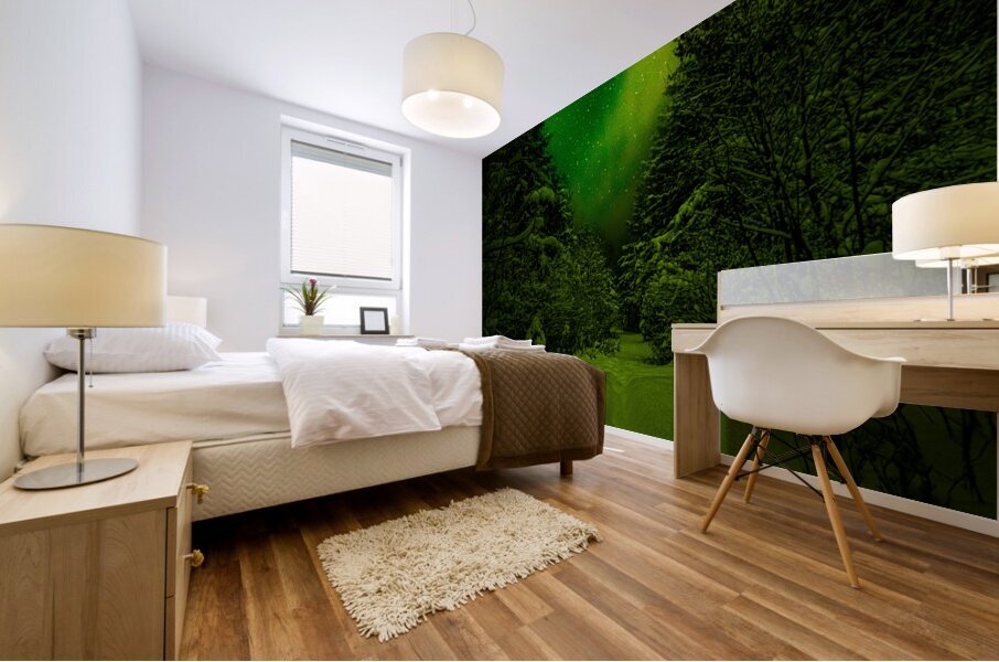 Z62 0234 2  Mural print