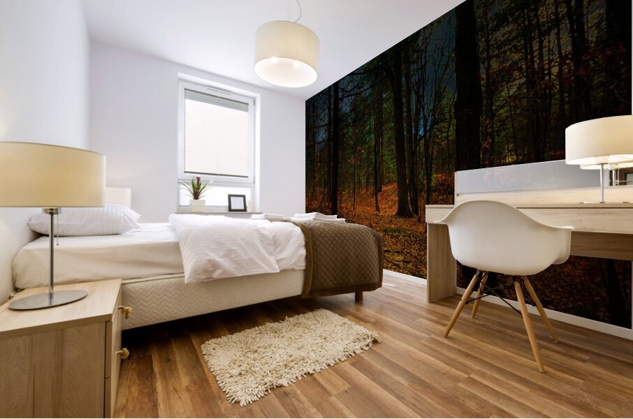 DSC 3665 1 Impression murale