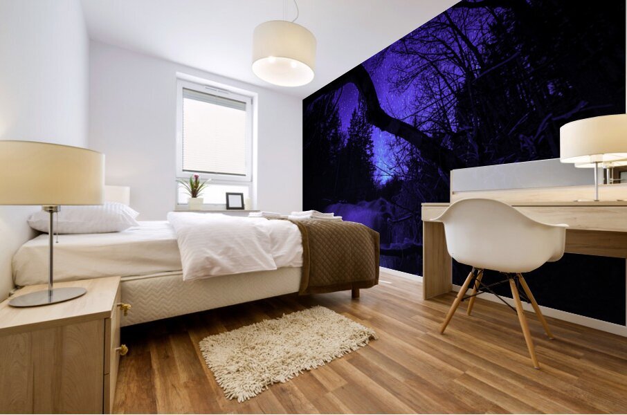JBS 0672  Mural print