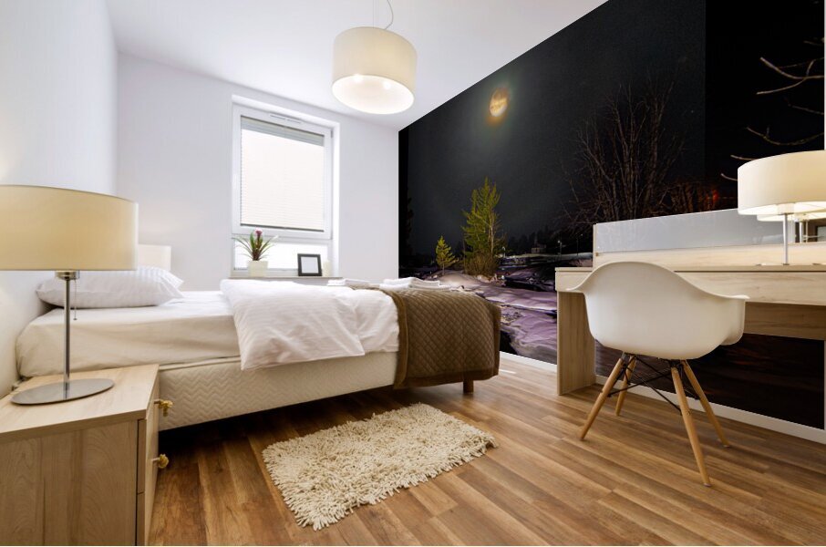 DSC 4341  Mural print