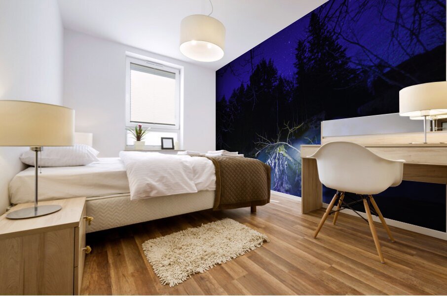 JBS 0689  Mural print