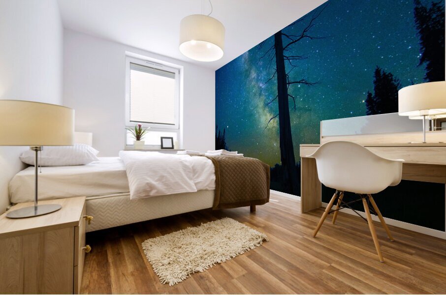 CRC 1662 Impression murale