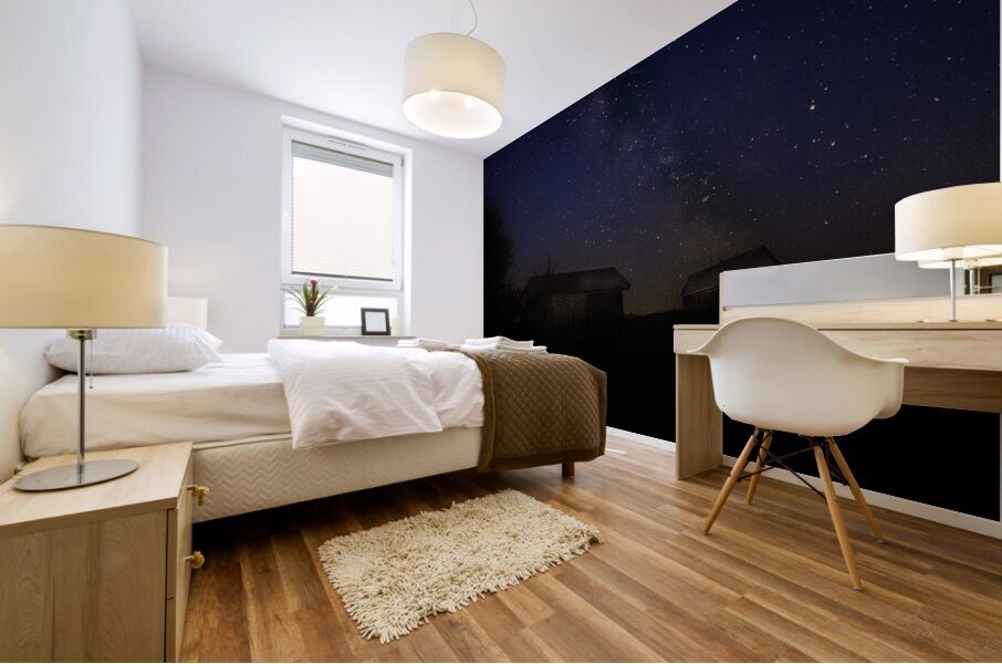 JBS 2871 2 1 Mural print