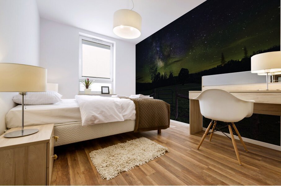 JBS 2438 1 Mural print