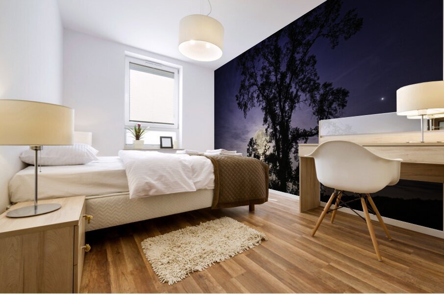 JBS 3459  Mural print