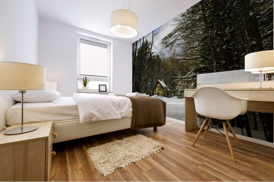 JBS 5227 16x20 Impression murale