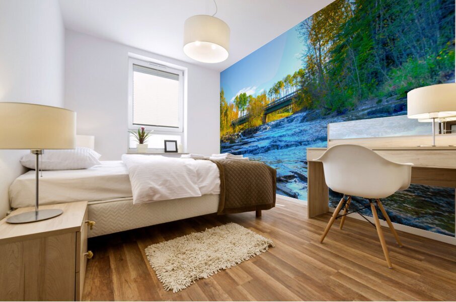 JBS 6991 Mural print