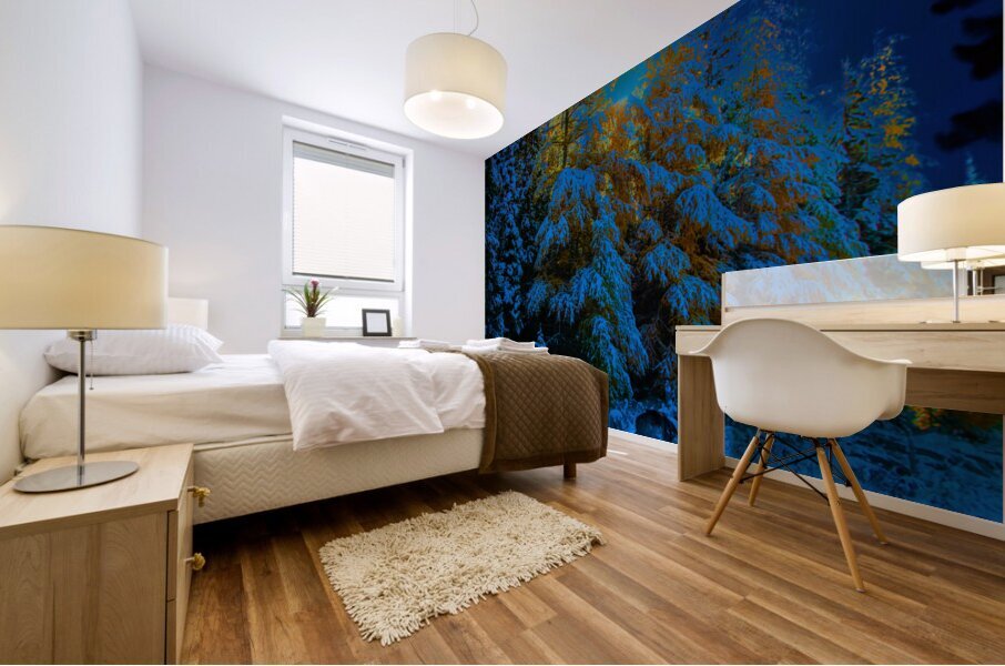 JBS 4968  Impression murale