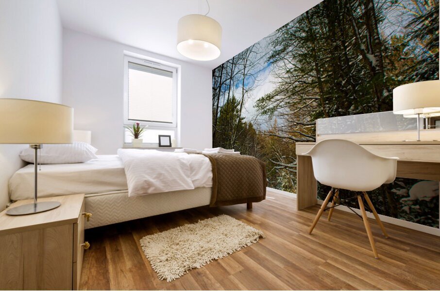 JBS 5227 Mural print